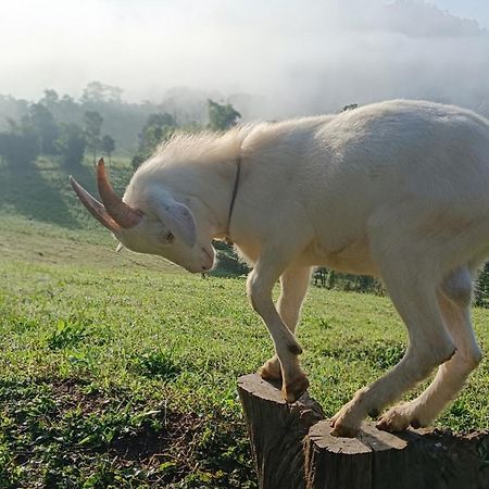 ไร่นิธิสุนทร Nithisoonthon Farmstay Mae Hong Son Bagian luar foto