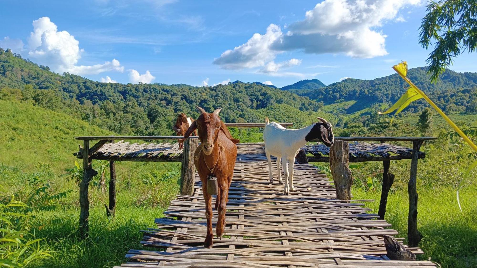 ไร่นิธิสุนทร Nithisoonthon Farmstay Mae Hong Son Bagian luar foto