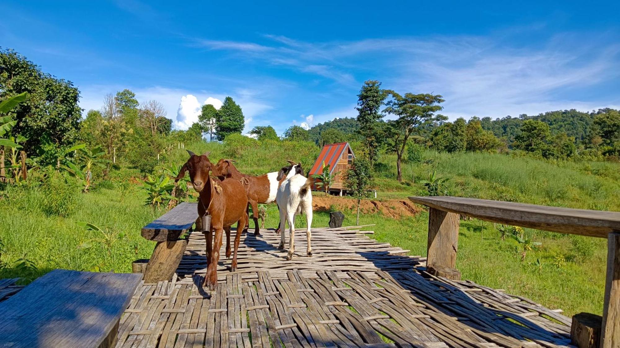 ไร่นิธิสุนทร Nithisoonthon Farmstay Mae Hong Son Bagian luar foto