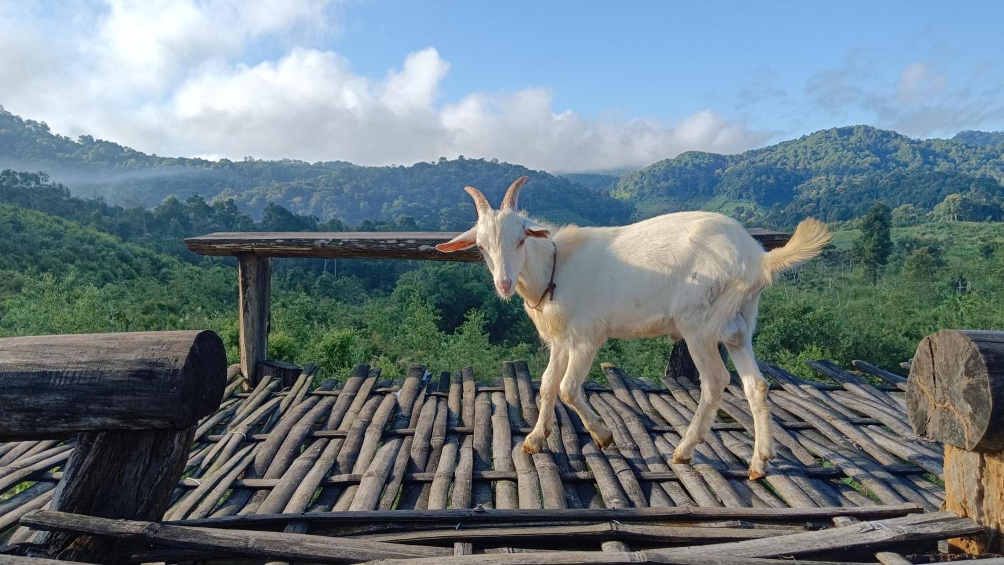 ไร่นิธิสุนทร Nithisoonthon Farmstay Mae Hong Son Bagian luar foto