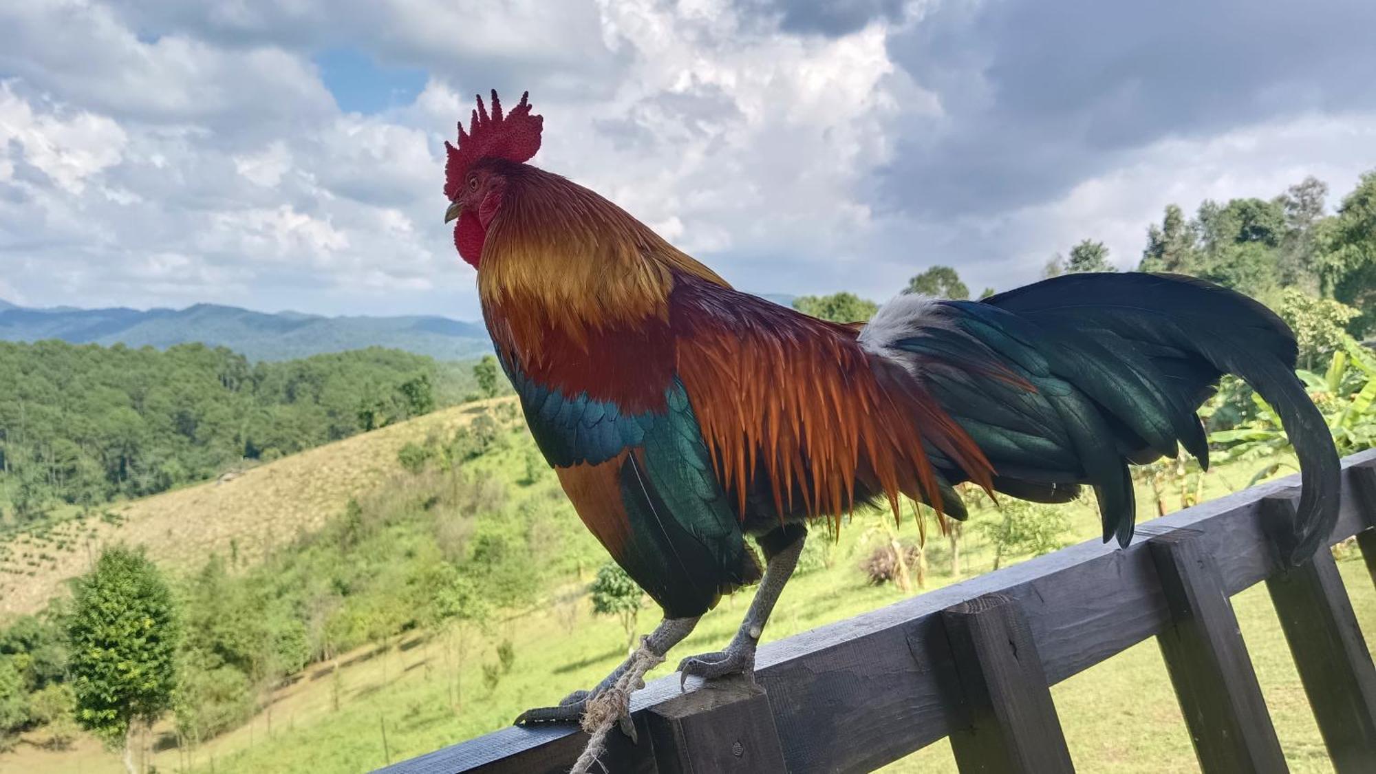 ไร่นิธิสุนทร Nithisoonthon Farmstay Mae Hong Son Bagian luar foto