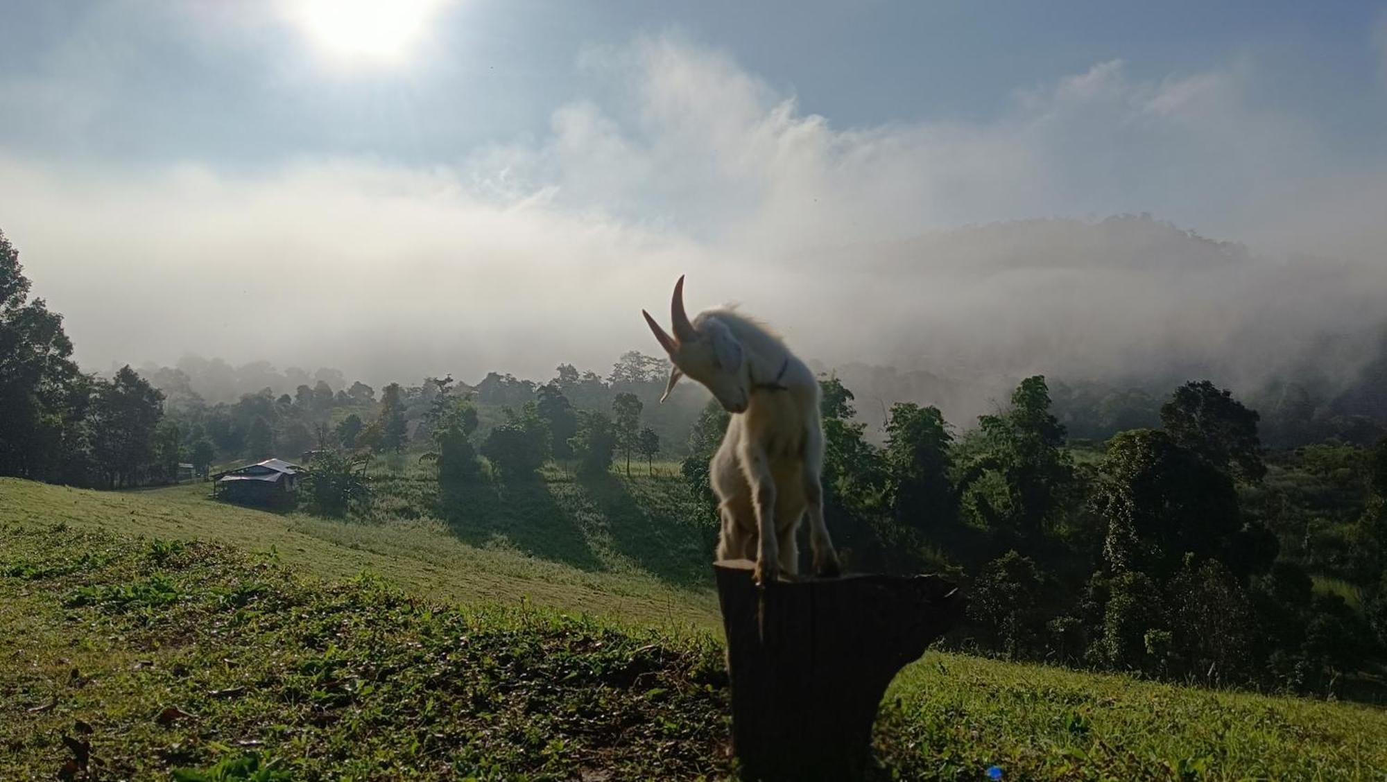 ไร่นิธิสุนทร Nithisoonthon Farmstay Mae Hong Son Bagian luar foto