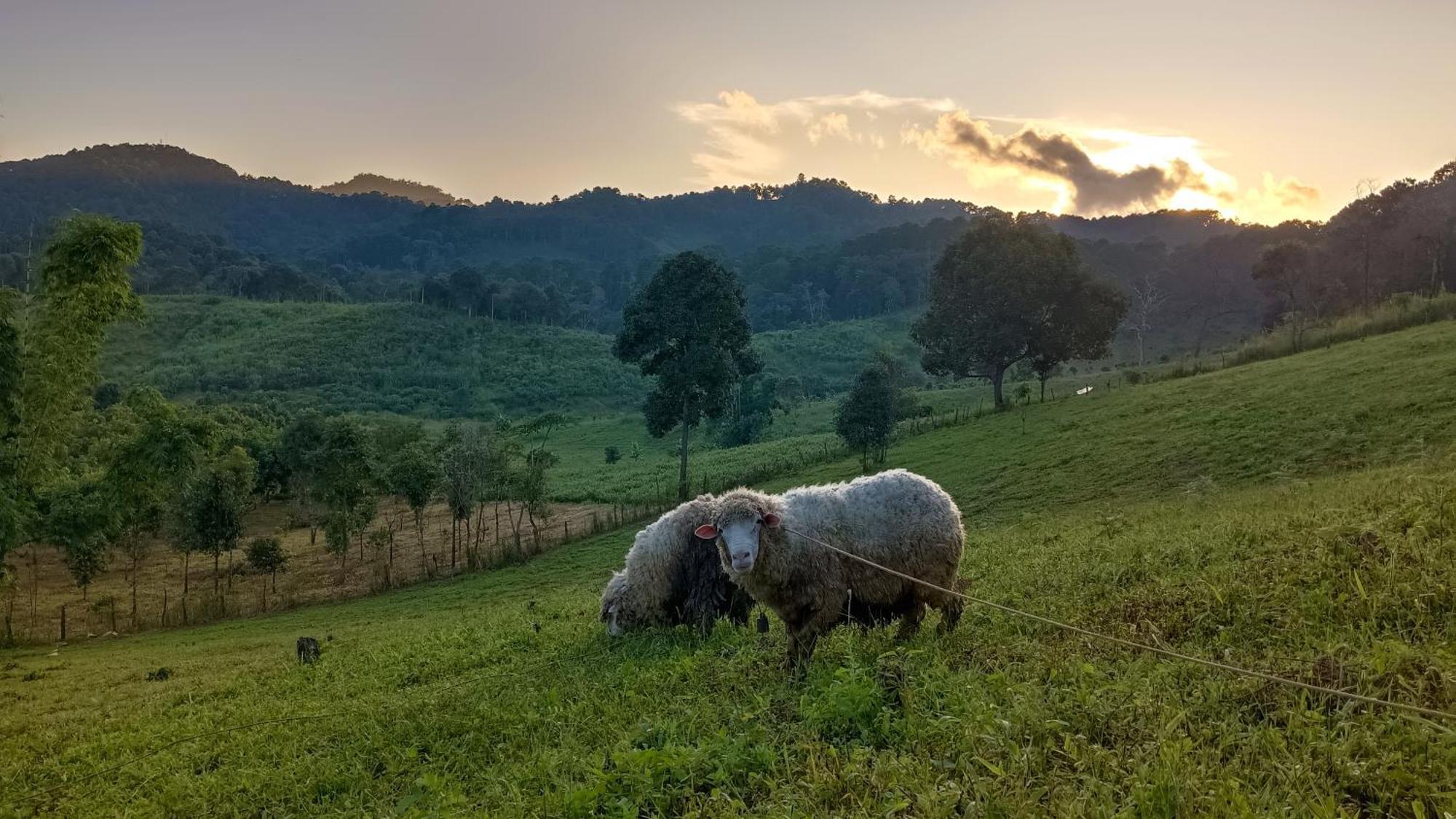 ไร่นิธิสุนทร Nithisoonthon Farmstay Mae Hong Son Bagian luar foto