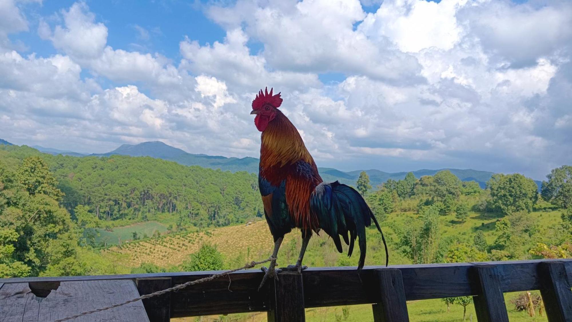 ไร่นิธิสุนทร Nithisoonthon Farmstay Mae Hong Son Bagian luar foto