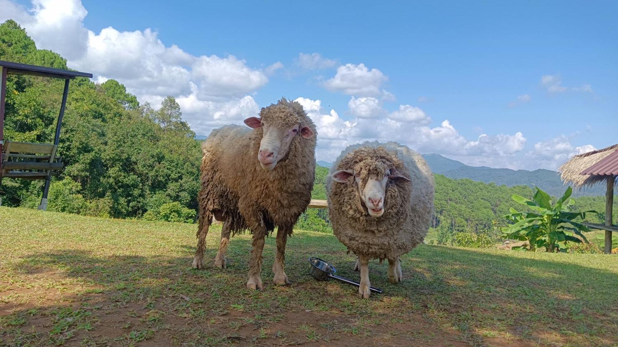 ไร่นิธิสุนทร Nithisoonthon Farmstay Mae Hong Son Bagian luar foto